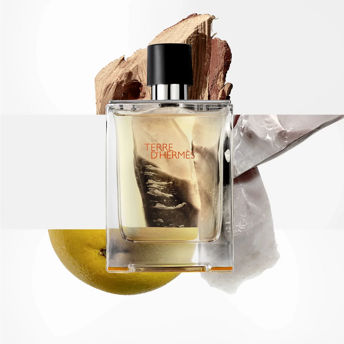 Hermès Terre d'Hermès