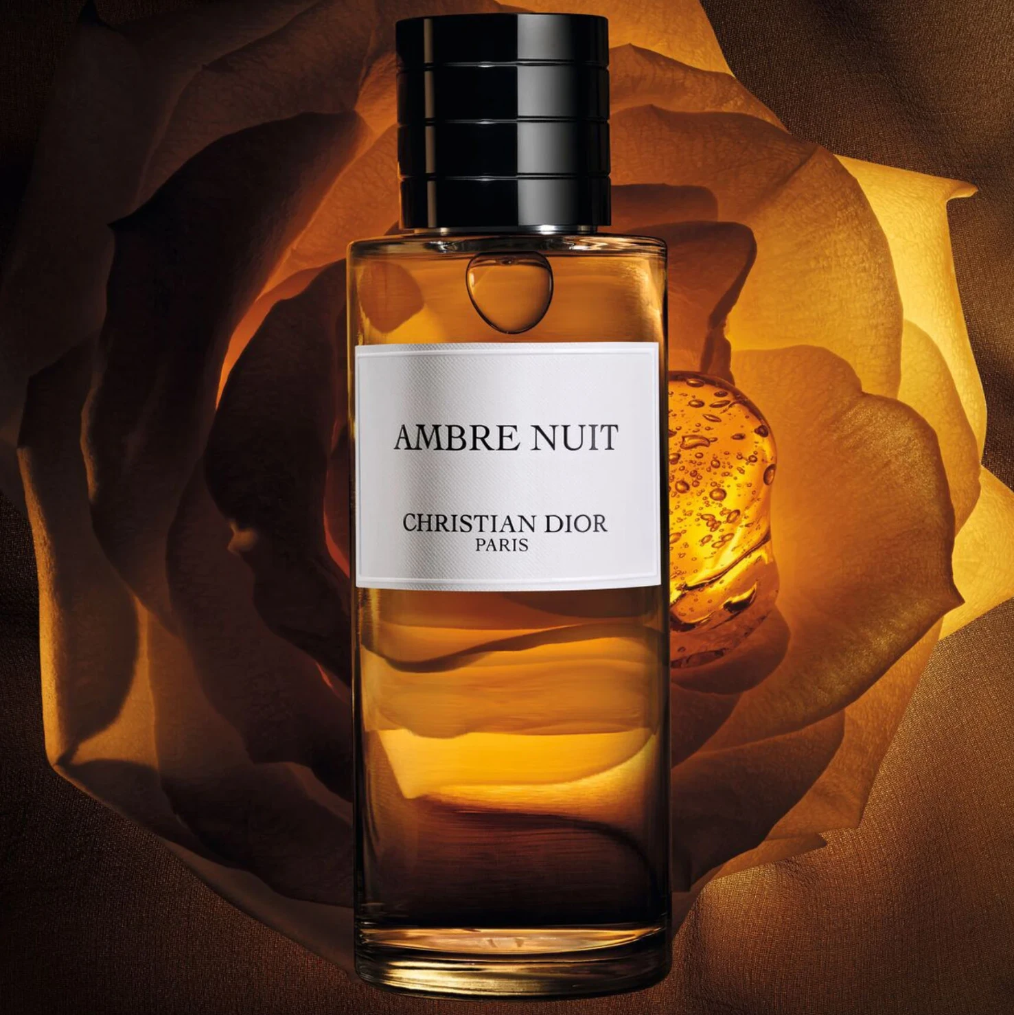 Dior Ambre Nuit